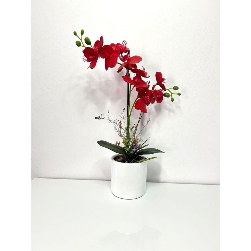 GENERICO - ORQUIDEA ROJA 47 X 12 BASE BLANCA CIL