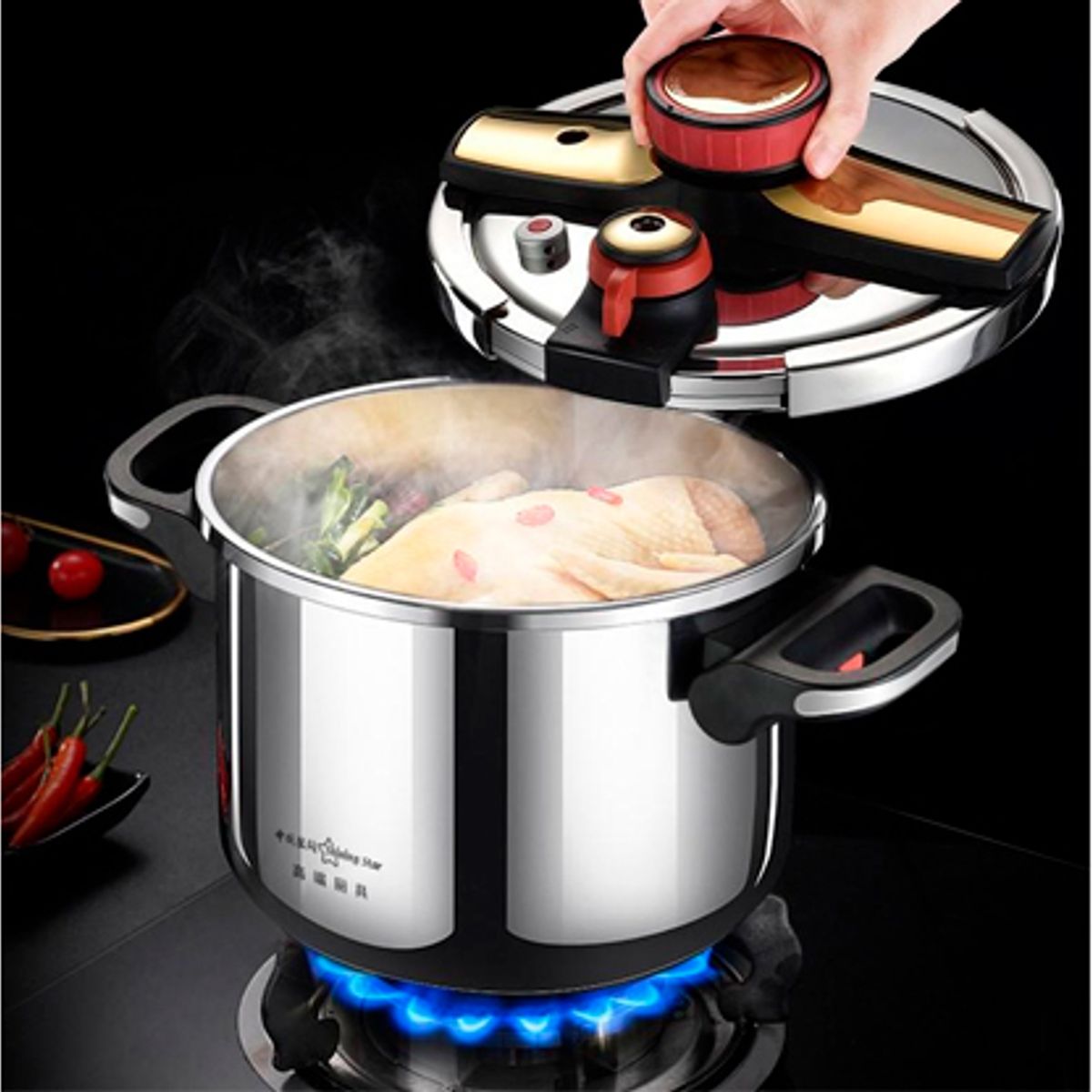 GENERICO - Olla a Presión de 9L  Cocción Rápida en Acero Inoxidable