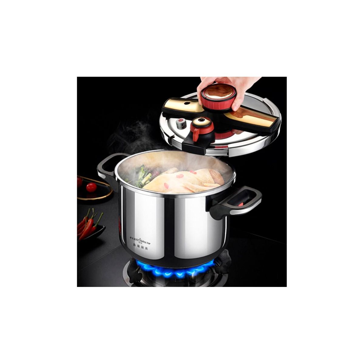 GENERICO - Olla a Presión de 9L  Cocción Rápida en Acero Inoxidable