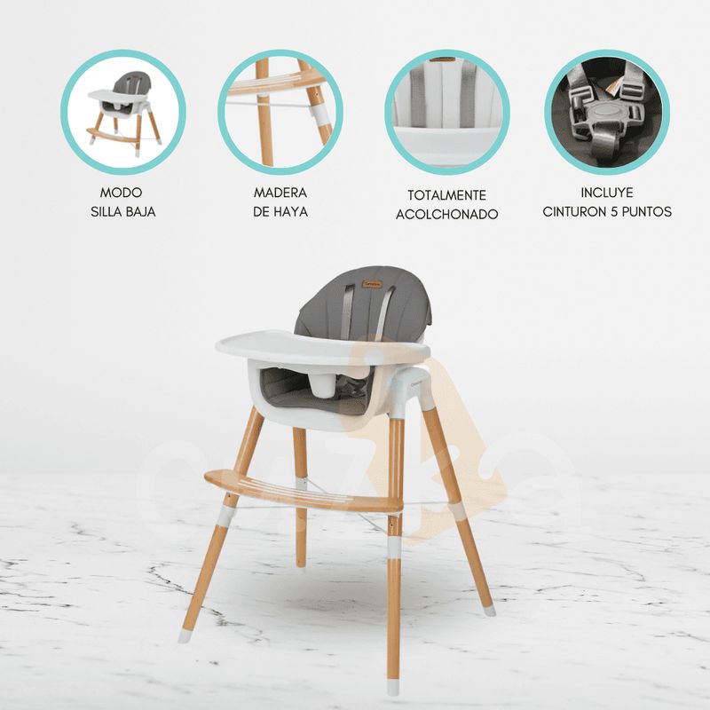 CARESTINO - Silla de Comer Moderna «ESTOCOLMO» Dark Gray