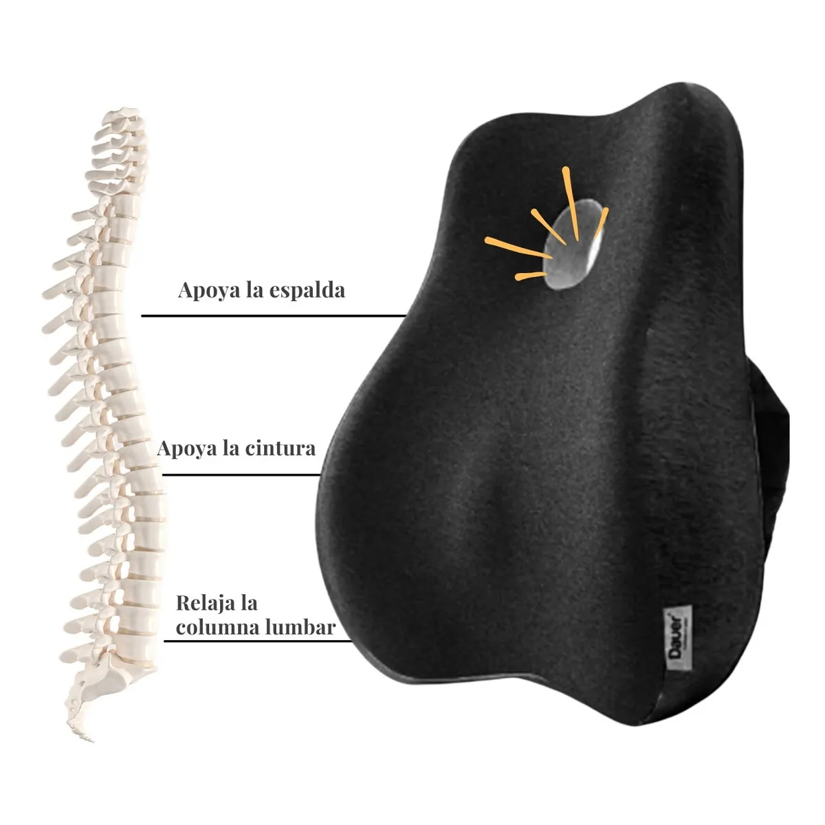 DAUER - Cojín Lumbar 3D Premium Memory Foam+Bambú