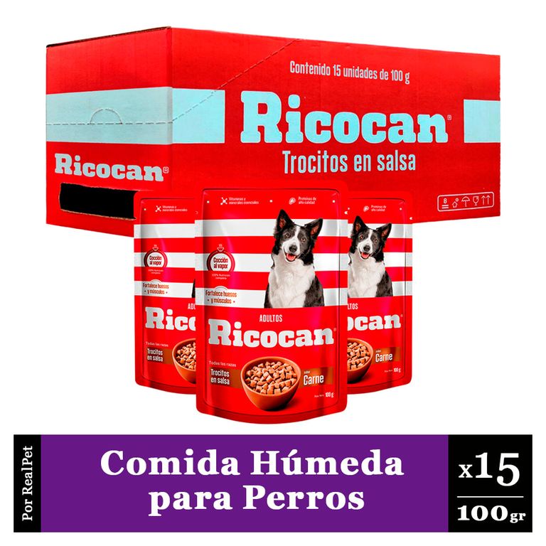 Pack Caja x15 Comida Húmeda Perro Ricocan Carne 100gr | Sodimac Perú