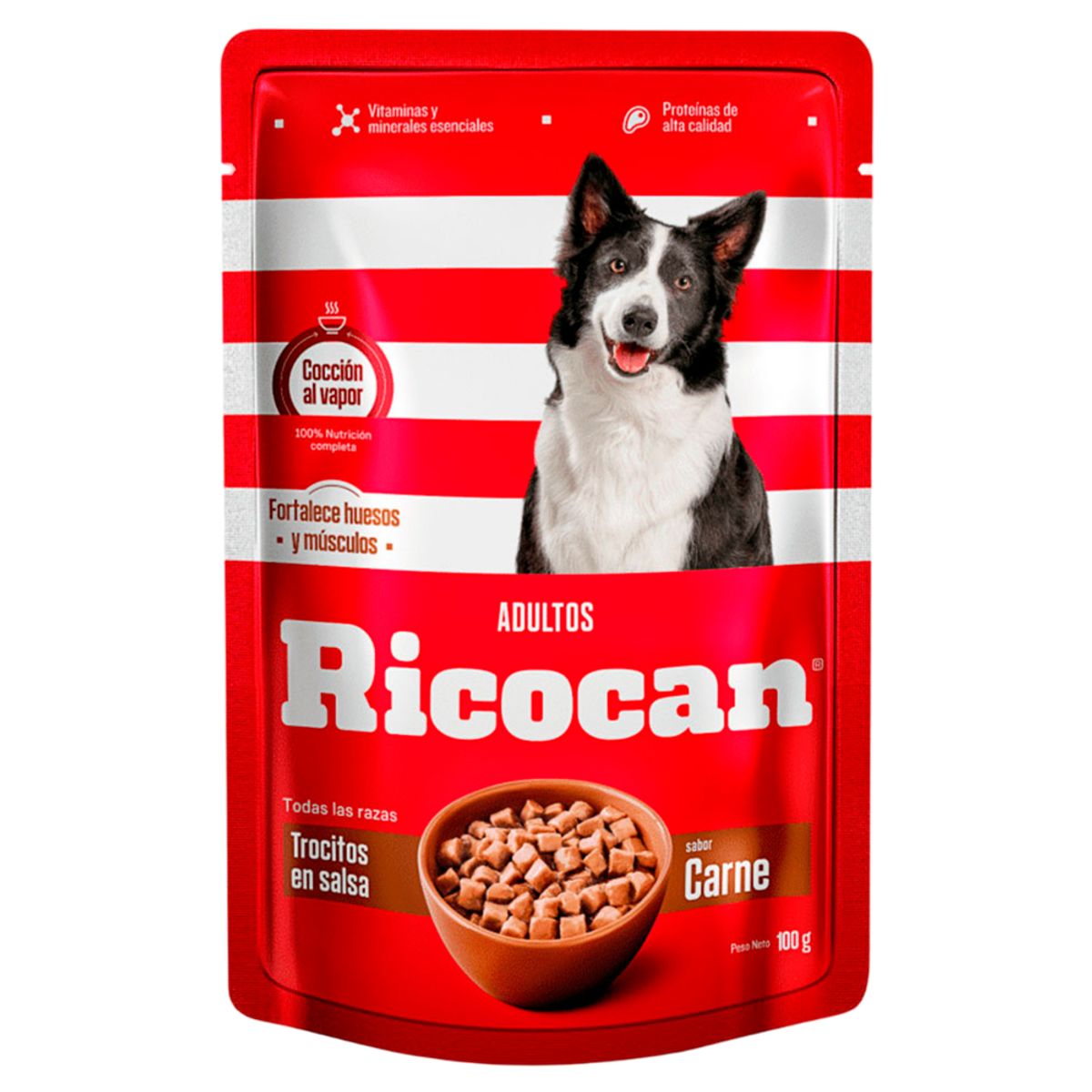MARCA - Pack Caja x15 Comida Húmeda Perro Ricocan Carne 100gr
