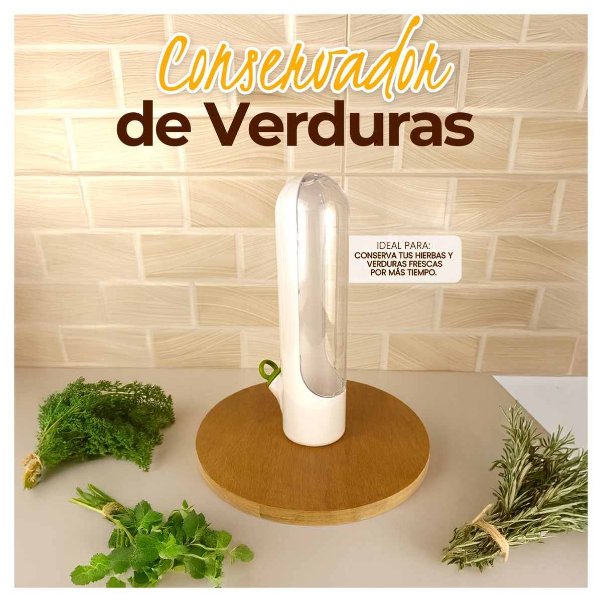 STONE - Conservador De Hierbas Verduras Frescas - Deco Stone