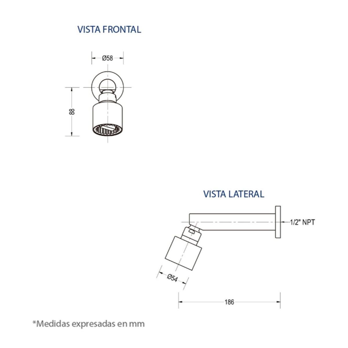 FUNDICION PACIFICO - Ducha Fundición Pacífico Regadera GO