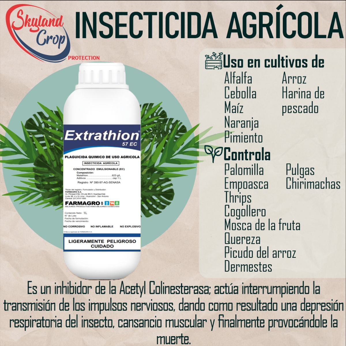 GENERICO - EXTRATHION 57EC 1L INSECTICIDA AGRÍCOLA