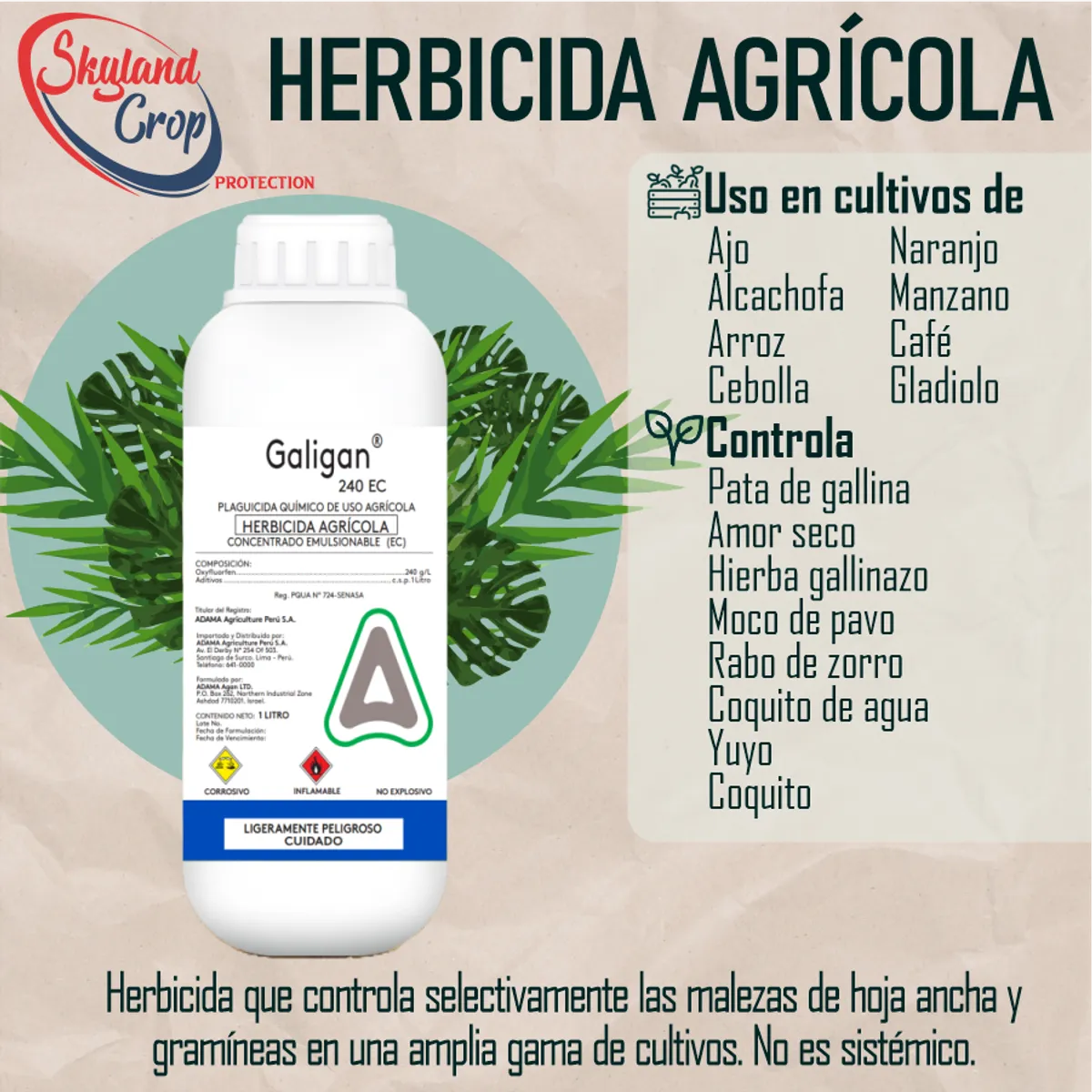 GENERICO - GALIGAN 240EC 1L  HERBICIDA AGRÍCOLA