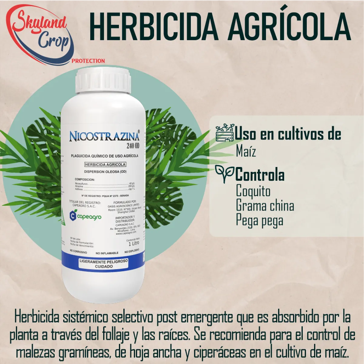 GENERICO - NICOSTRAZINA 240OD 1L  HERBICIDA  AGRÍCOLA