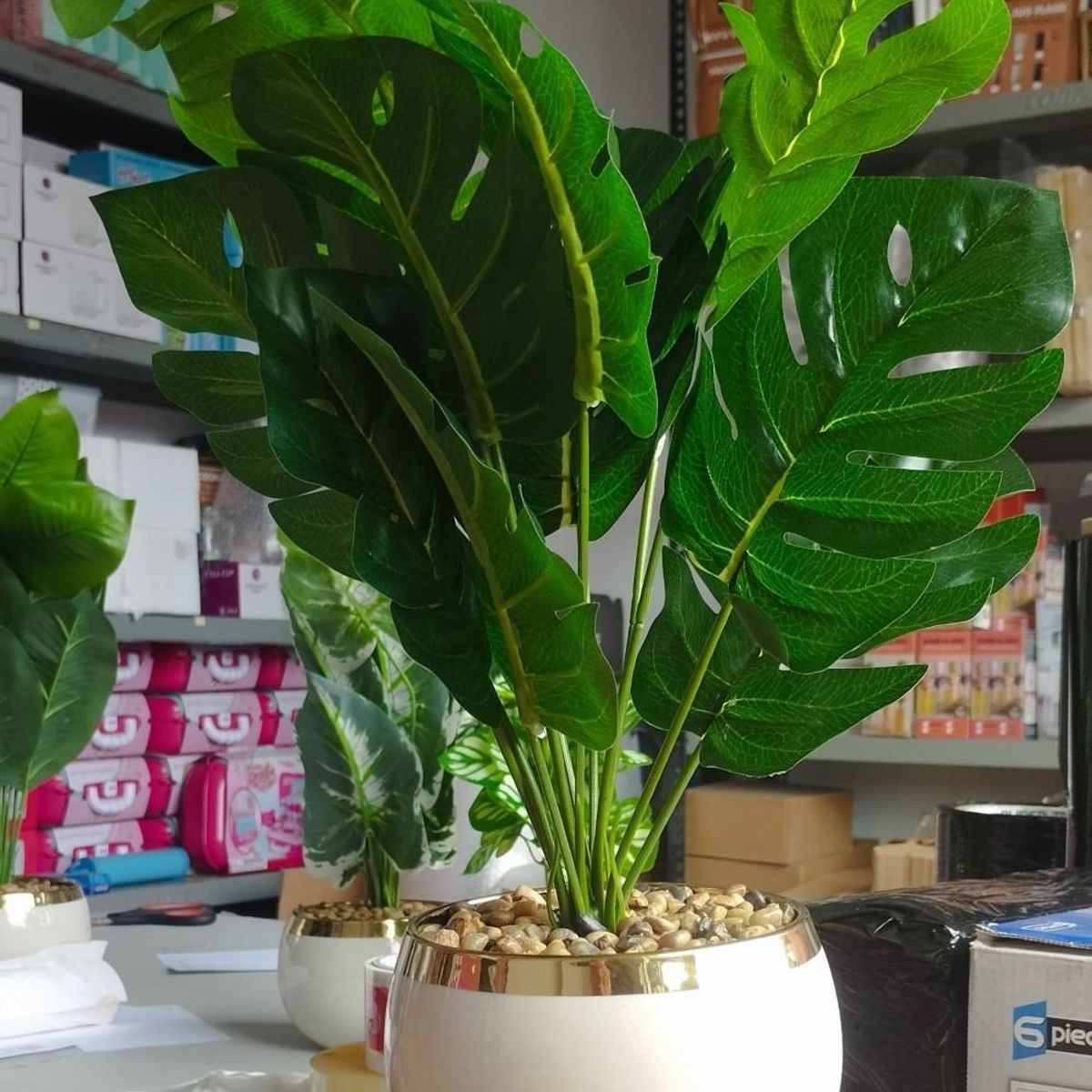 GENERICO - Planta Artificial Difenbachia Con Maceta Blanca