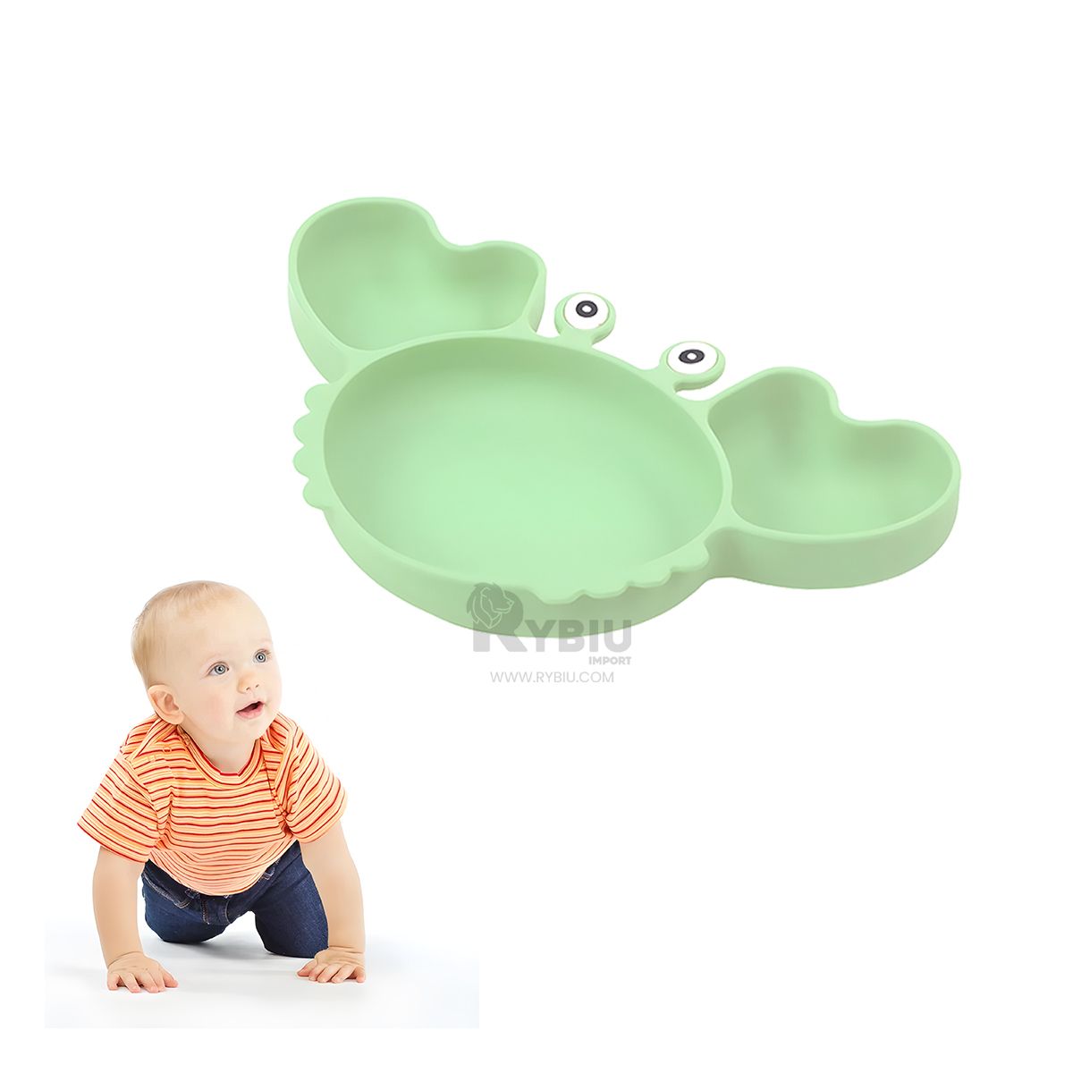 RYBIU IMPORT - Tazon Infantil de Cangrejo en Verde Y+Envoltorio de Regalo