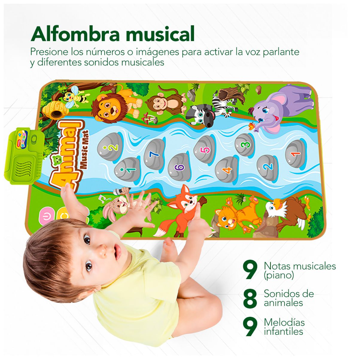 KELLER - Alfombra Sensorial Musical PB4 Y Tablet Pizarra LCD CL HD2