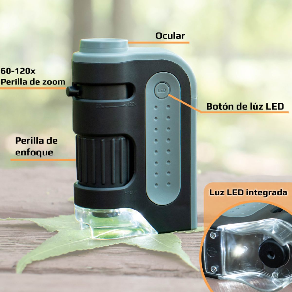 CARSON - Microscopio de bolsillo LED MicroBritePlus Carson MM-300 60x-120x Gris