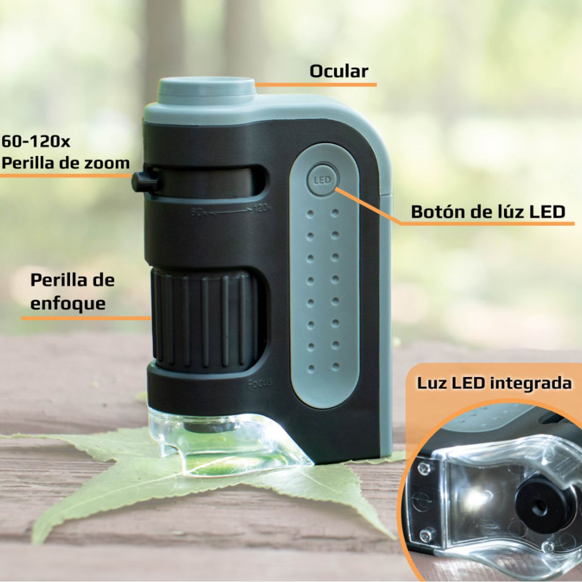CARSON - Microscopio de bolsillo LED MicroBritePlus Carson MM-300 60x-120x Gris
