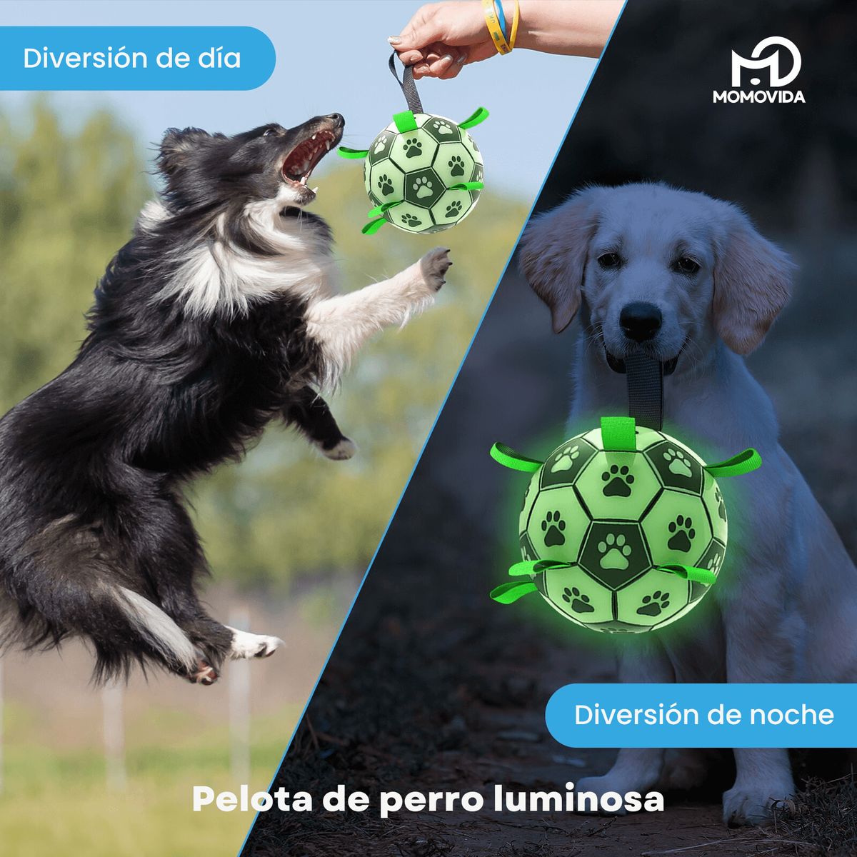 MOMOVIDA - Pelota Luminosa para Mascotas Grandes DT-8L