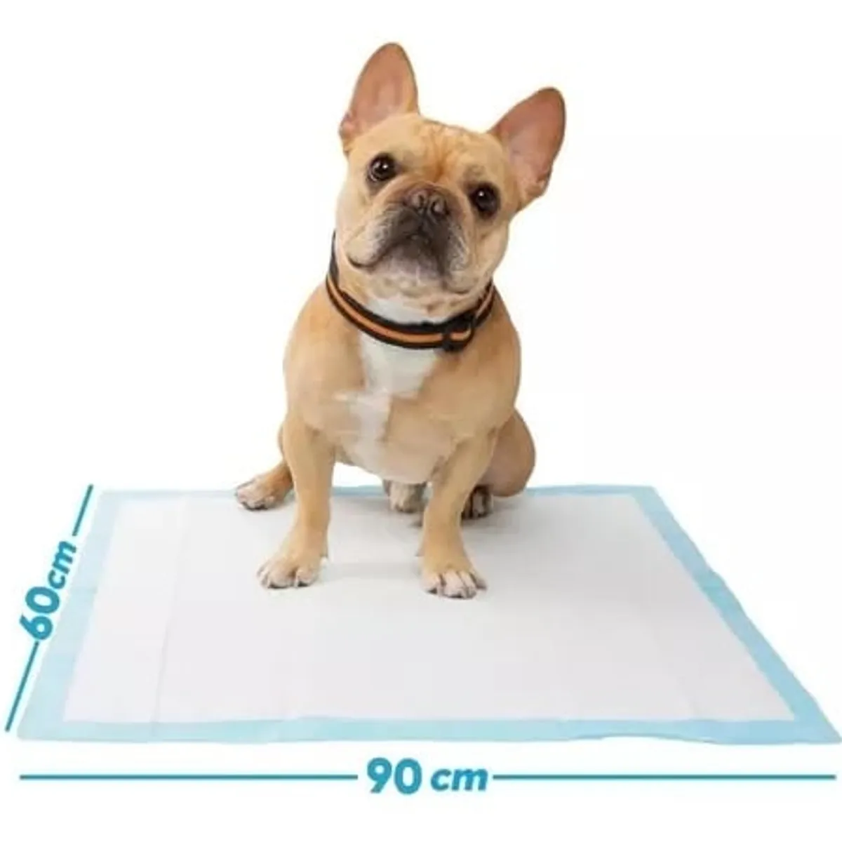 GENERICO - Pañales de Piso Absorbentes 60X90 - Training Pads Pet