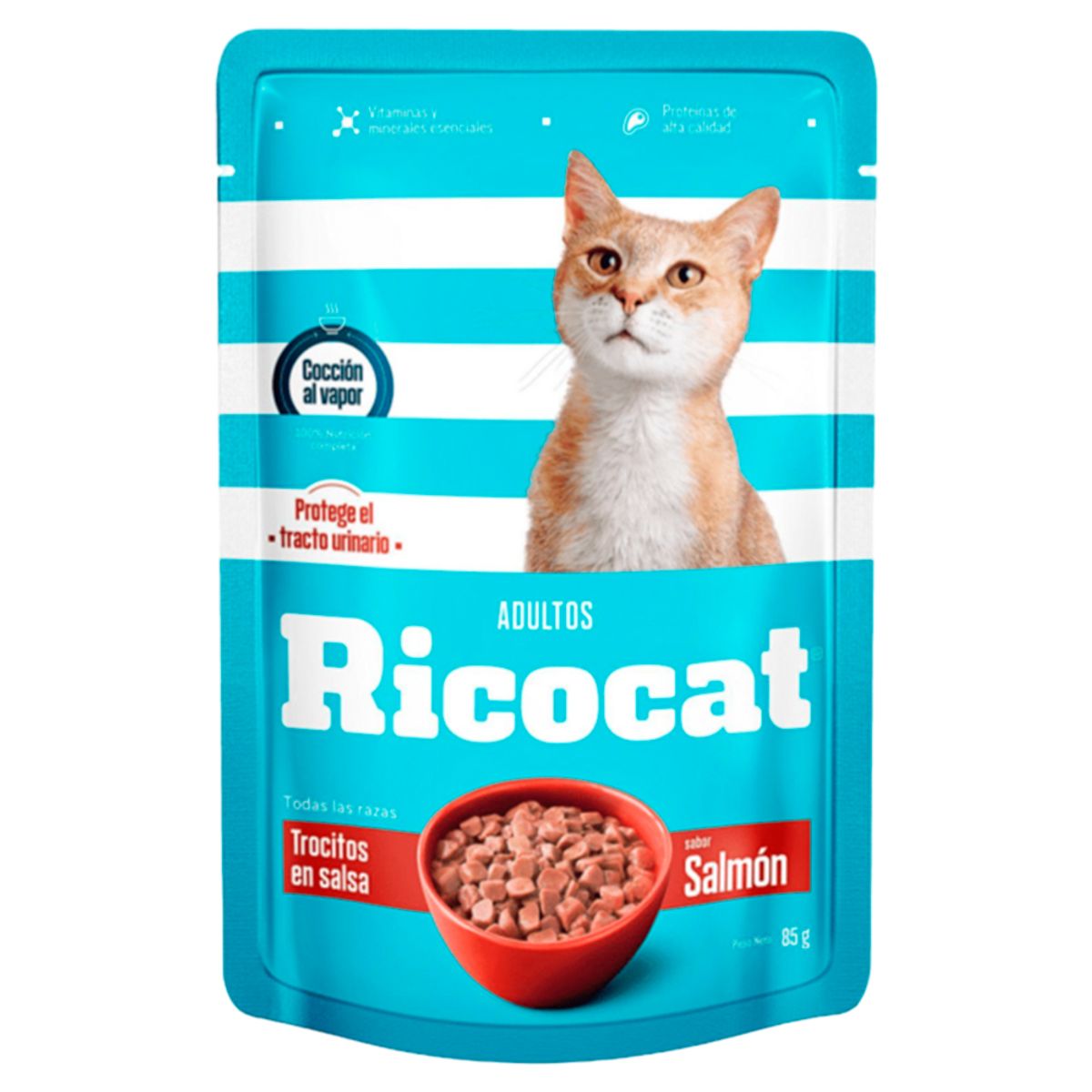 RICOCAT - Pack Caja x15 Comida Húmeda para Gato Ricocat Salmón 85gr