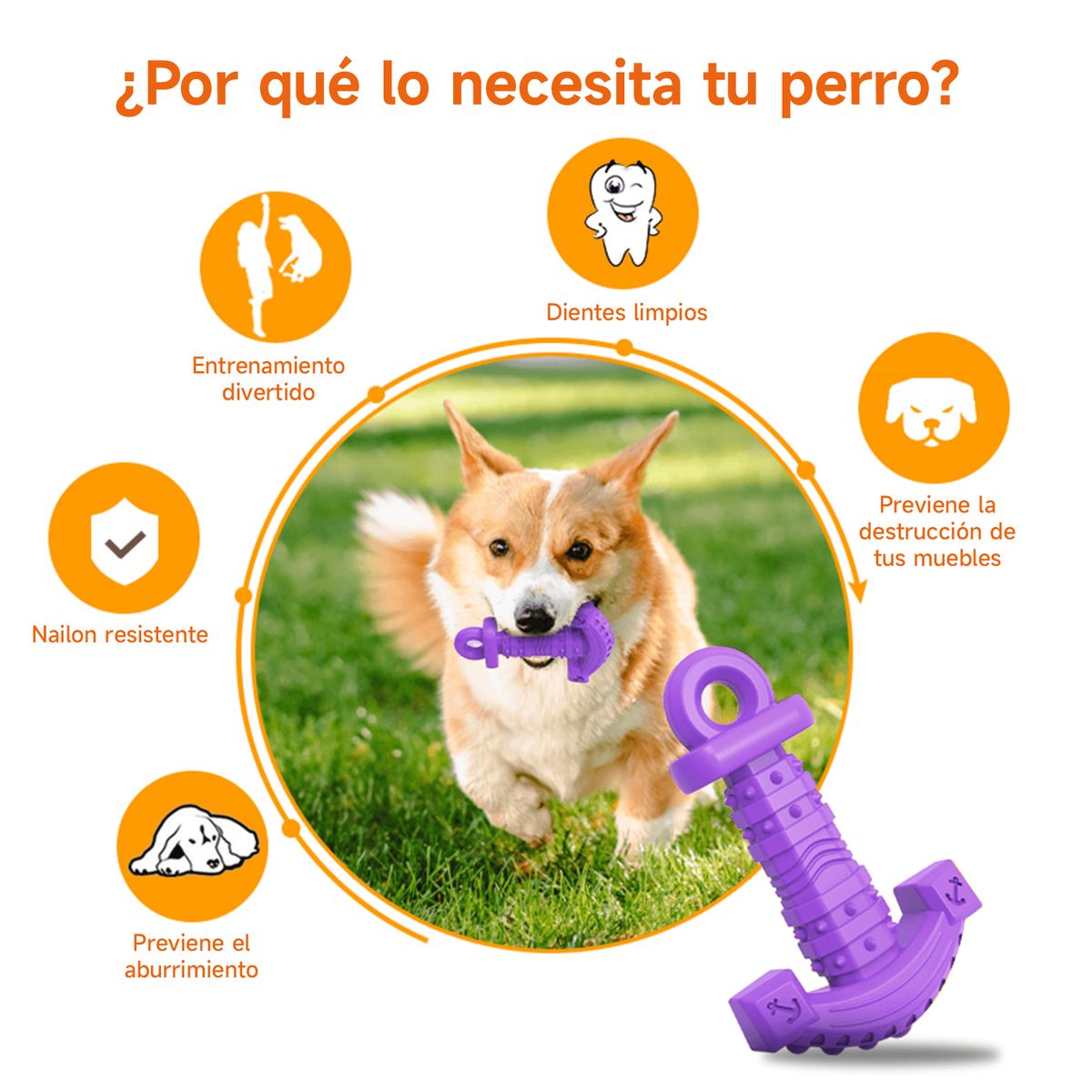 MOMOVIDA - Juguete Masticable en forma de Alicate DT-12 Morado