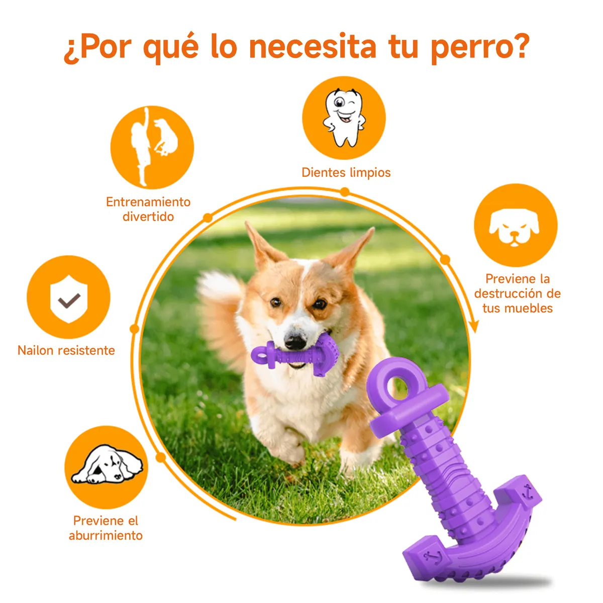 MOMOVIDA - Juguete Masticables en forma de Ancla DT-14 Morado