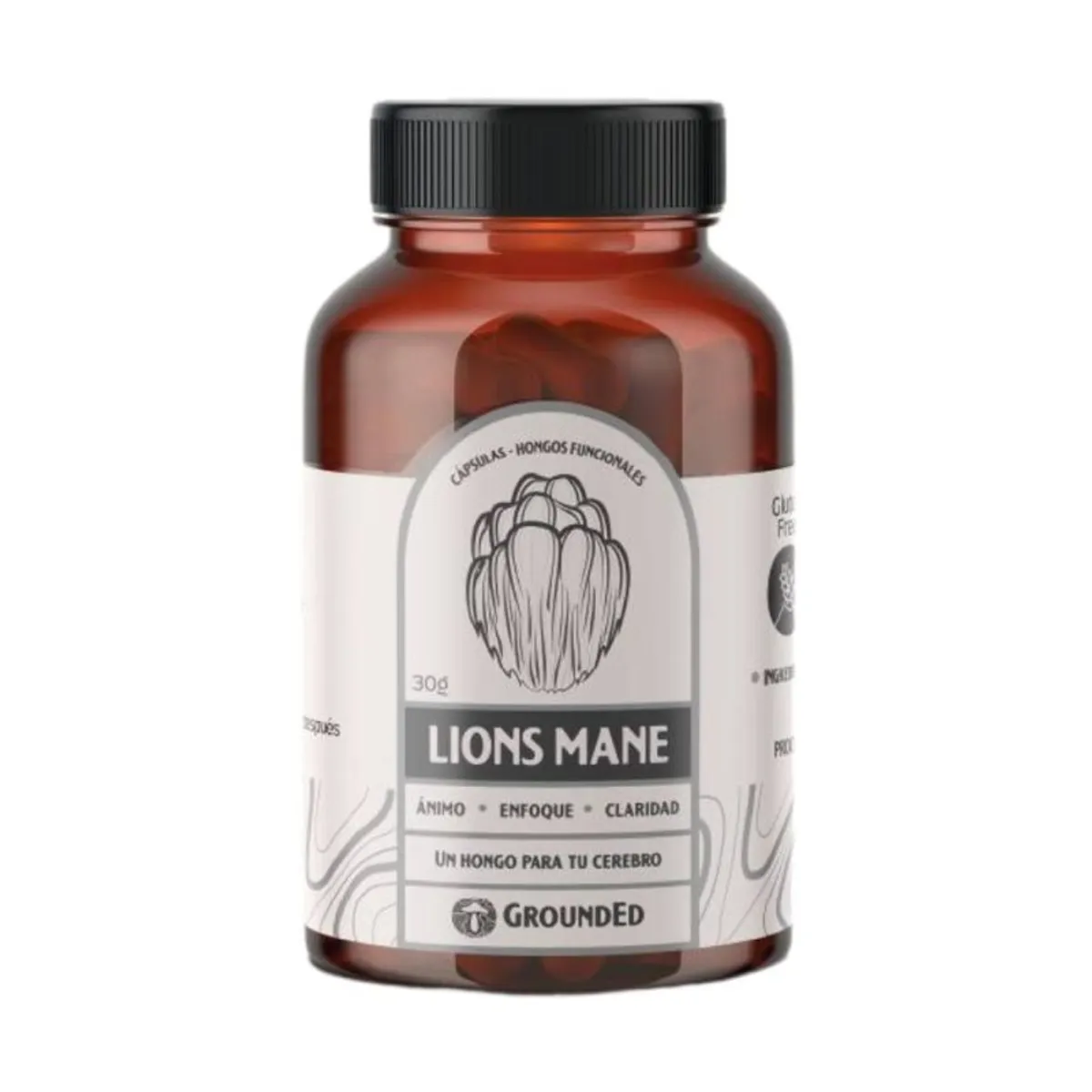 GENERICO - Melena de León x 60 Cápsulas - GroundEd