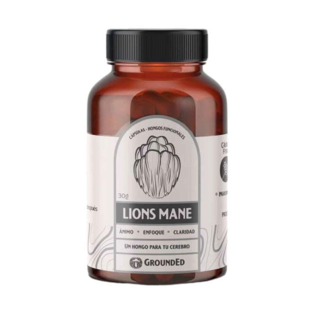 GENERICO - Melena de León x 60 Cápsulas - GroundEd