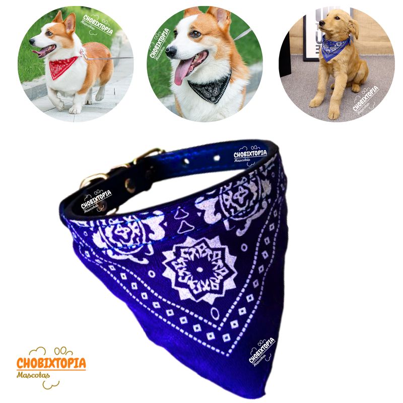 GENERICO - COLLAR BANDANA MASCOTA PERRO - AZUL