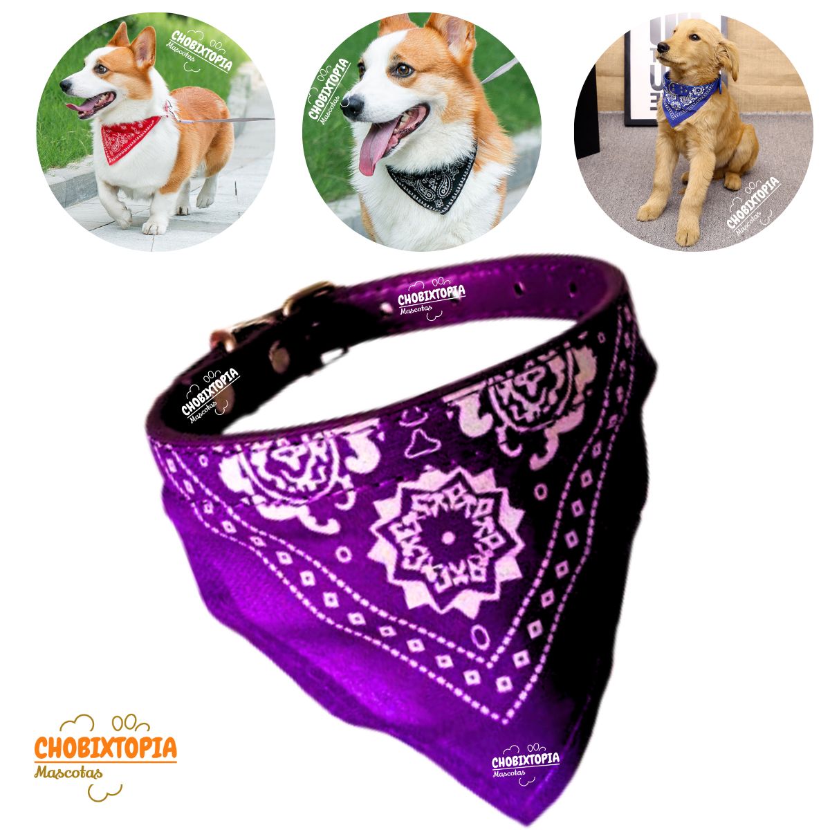 GENERICO - COLLAR BANDANA MASCOTA PERRO - MORADO