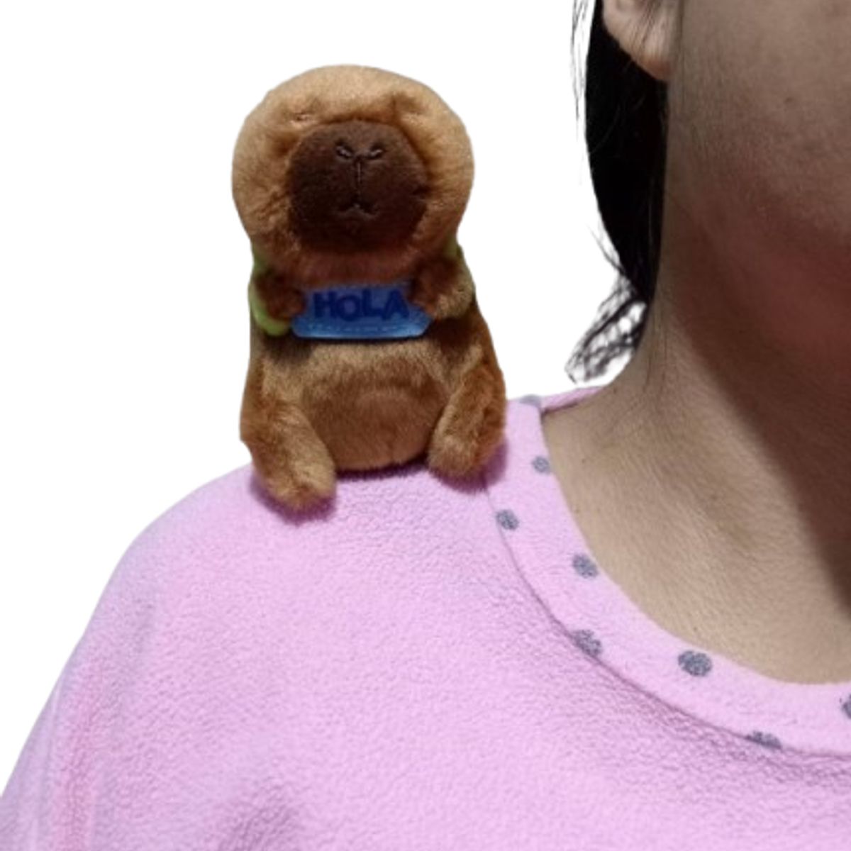 GENERICO - Capibara Imantado Marron