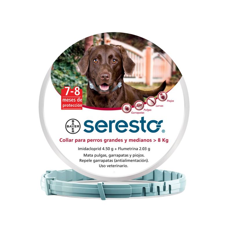 SERESTO - Collar Seresto para perros 8 kg a más Antipulgas