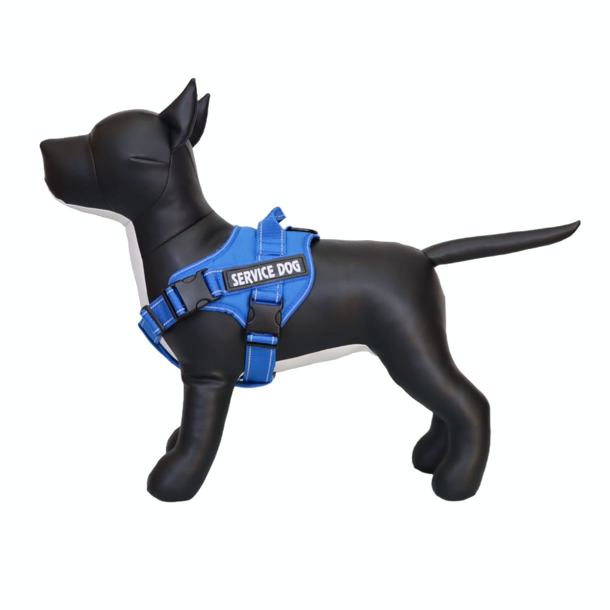 GENERICO - ARNÉS PARA PERROS DE SERVICIO SIN TIRO COLOR AZUL TALLA L