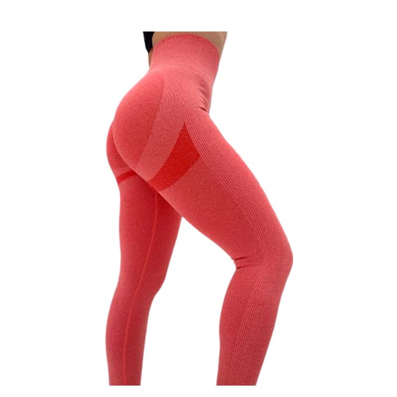 GENERICO - LEGGING LICRA DEPORTIVA