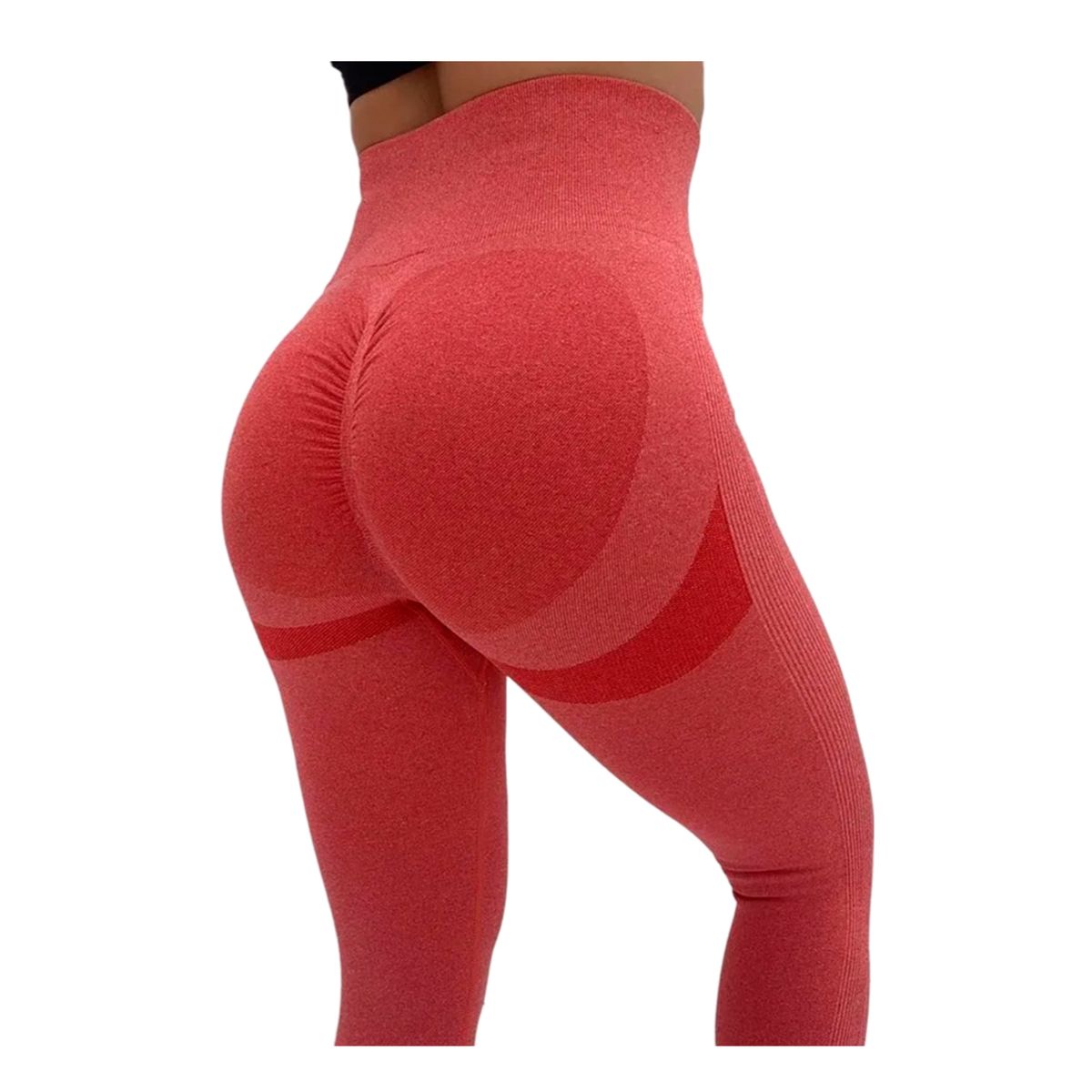 GENERICO - LEGGING LICRA DEPORTIVA