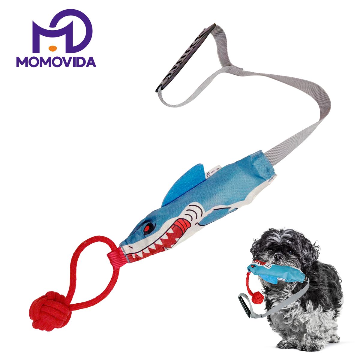 MOMOVIDA - Juguete de Tracción Interactivo con Sonido DT-16