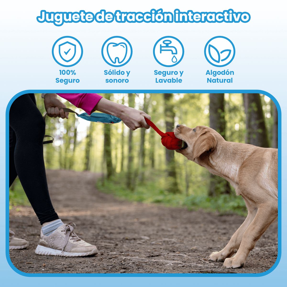 MOMOVIDA - Juguete de Tracción Interactivo con Sonido DT-16