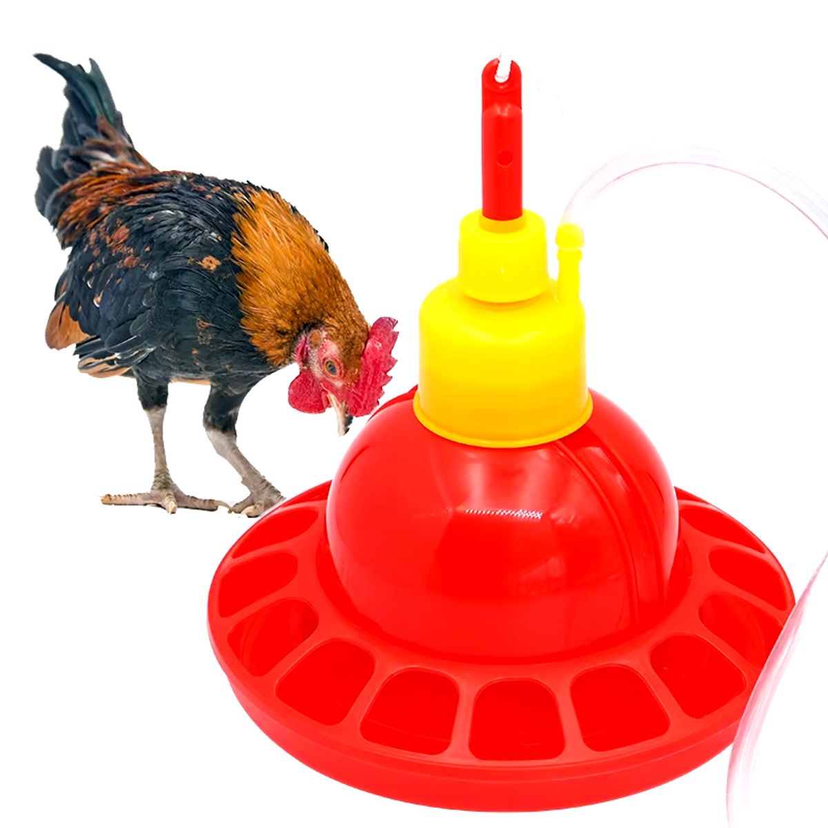 GENERICO - BEBEDERO TIPO CAMPANA PARA POLLOS PATOS