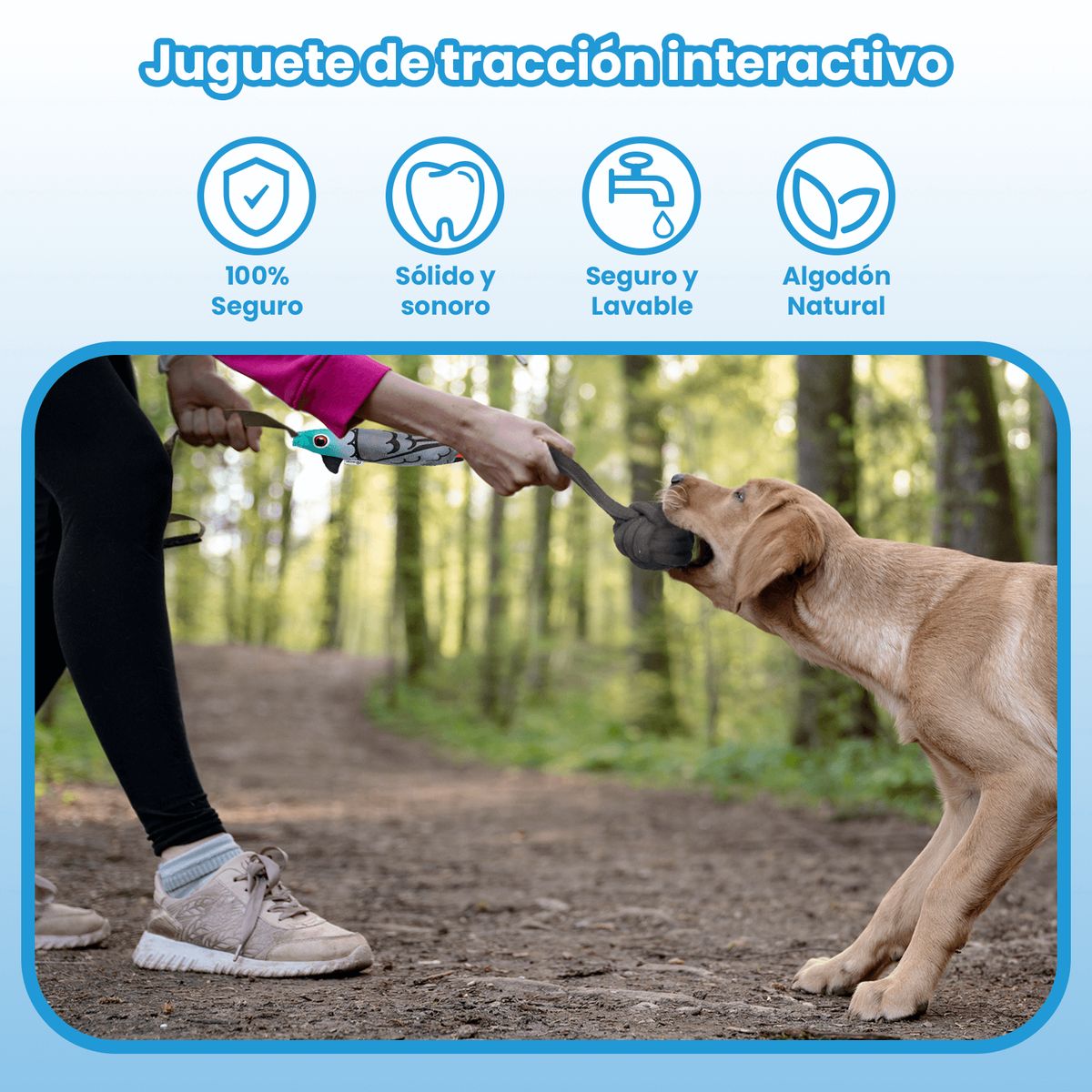 MOMOVIDA - Juguete de Tracción Interactivo con Sonido DT-17