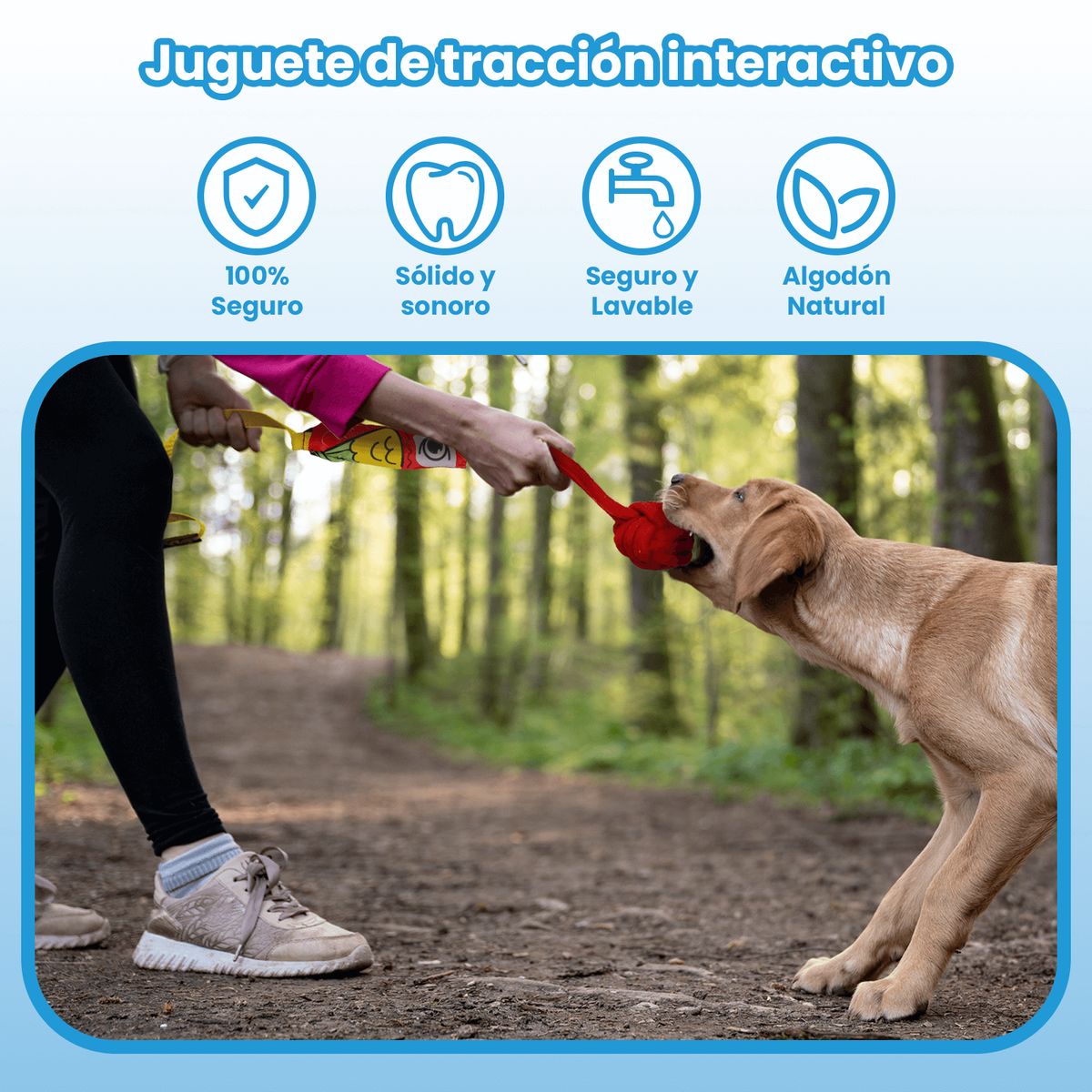 MOMOVIDA - Juguete de Tracción Interactivo con Sonido DT-18