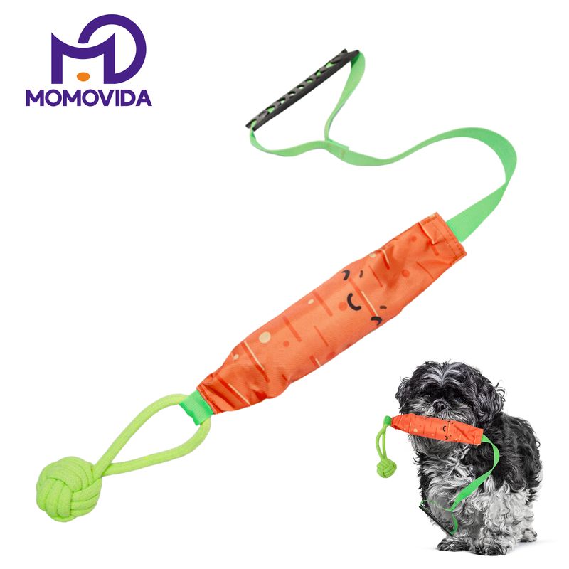 MOMOVIDA - Juguete de Tracción Interactivo con Sonido DT-19