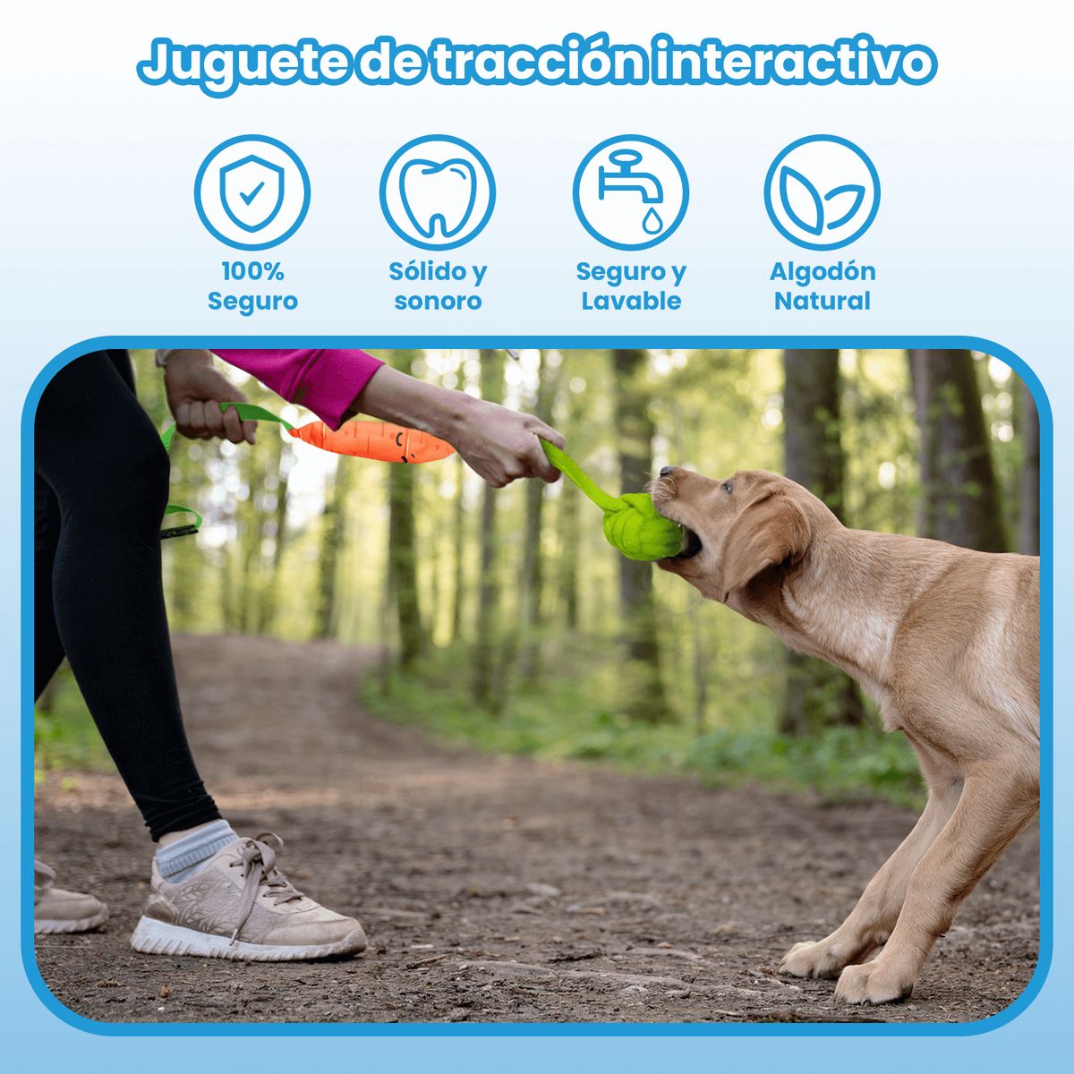 MOMOVIDA - Juguete de Tracción Interactivo con Sonido DT-19