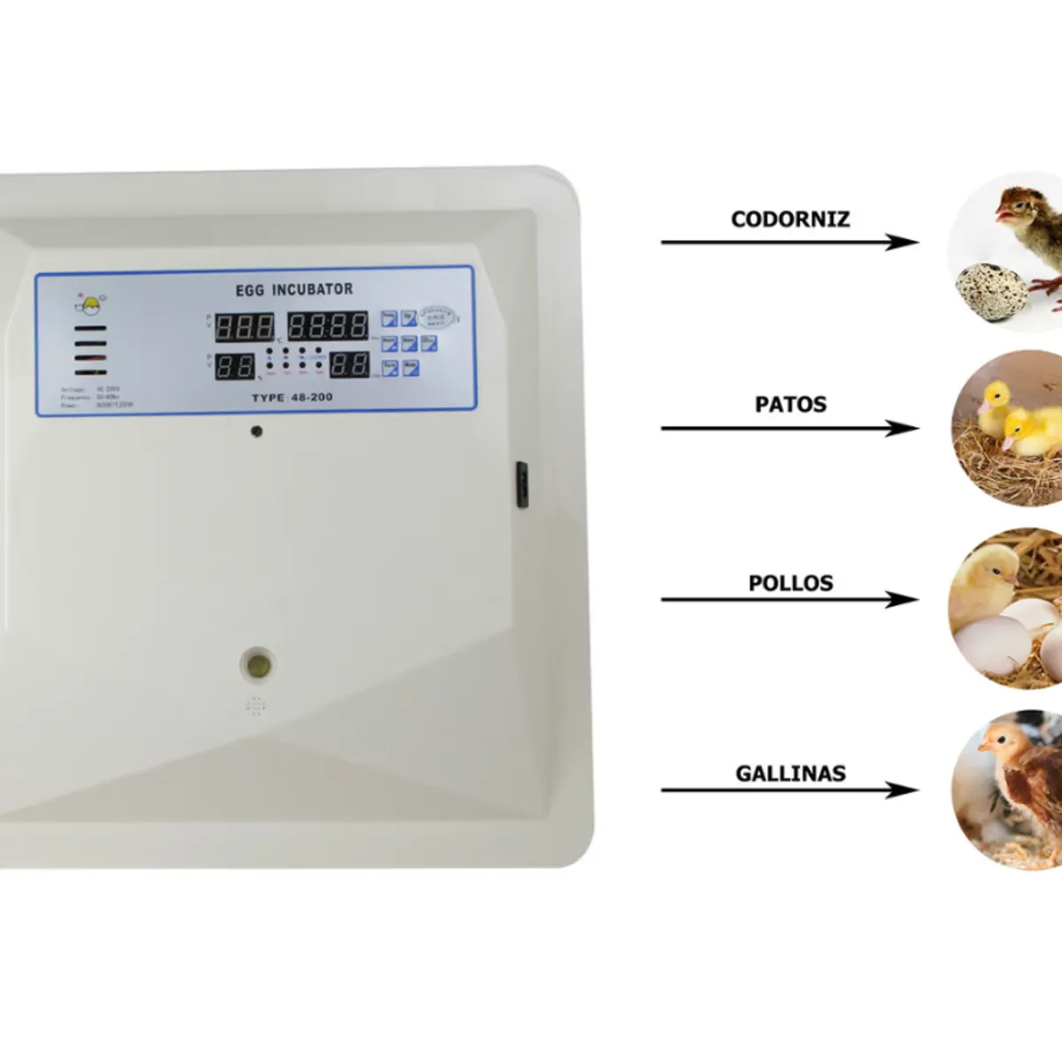 GENERICO - Incubadora Para 56 Huevos Con Volteo Automático
