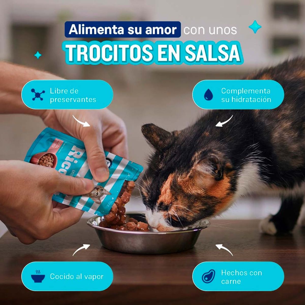 RICOCAT - Comida Húmeda para Gato Ricocat Marinos 85gr