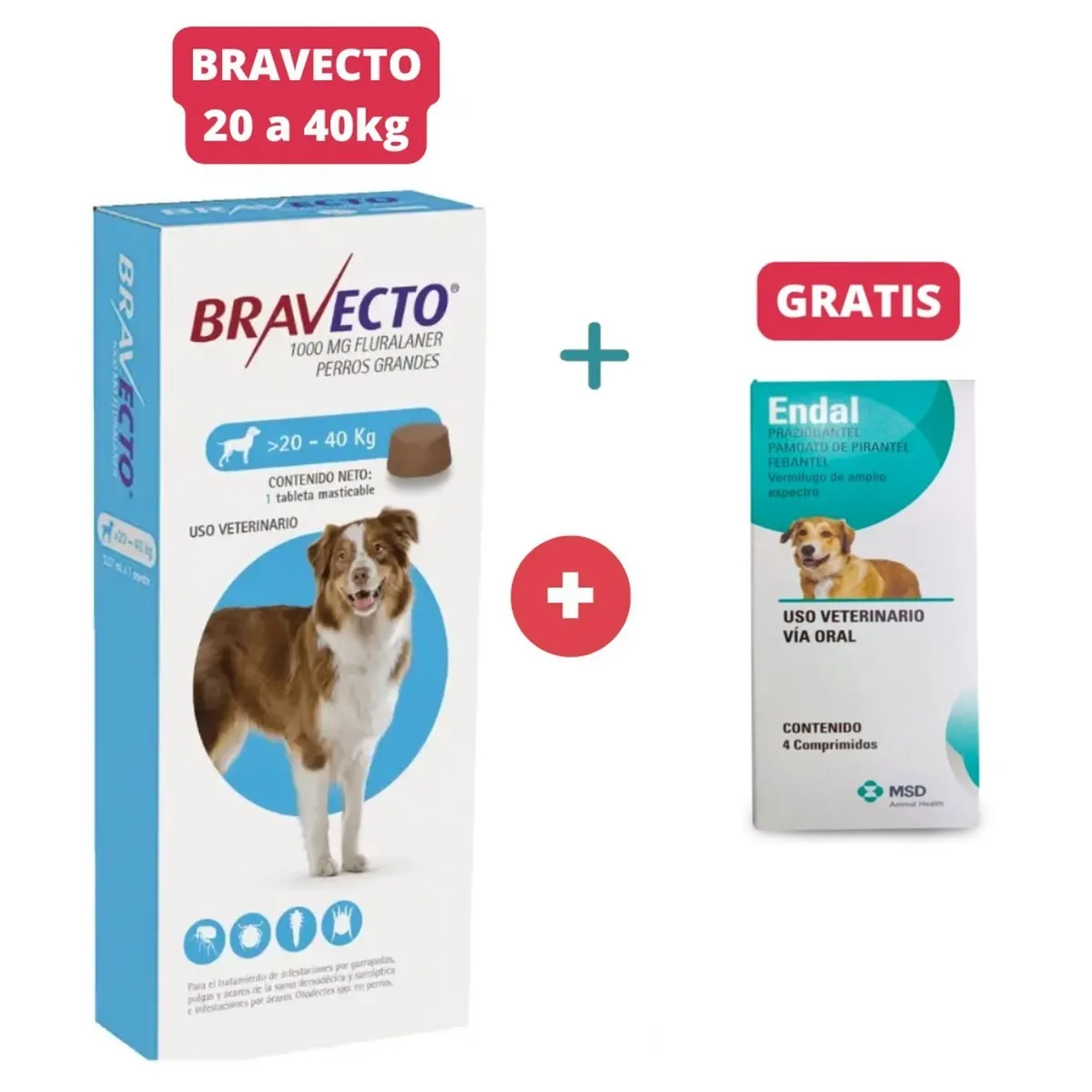 BRAVECTO - Antipulgas Bravecto para perros de 20 - 40 kg