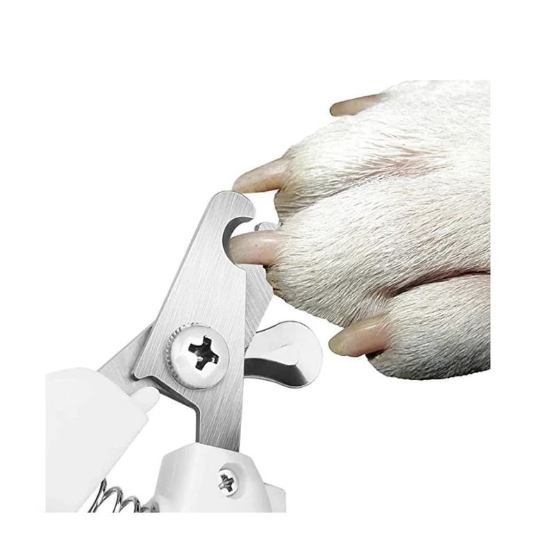 GENERICO - Cortaúñas para mascotas medianos y grandes celeste