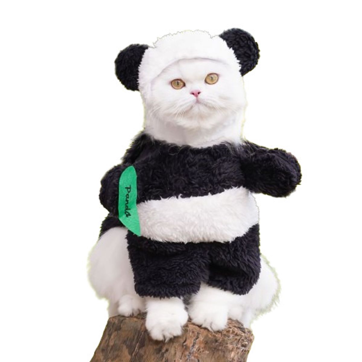 GENERICO - Disfraz para Mascota de Panda - Mini