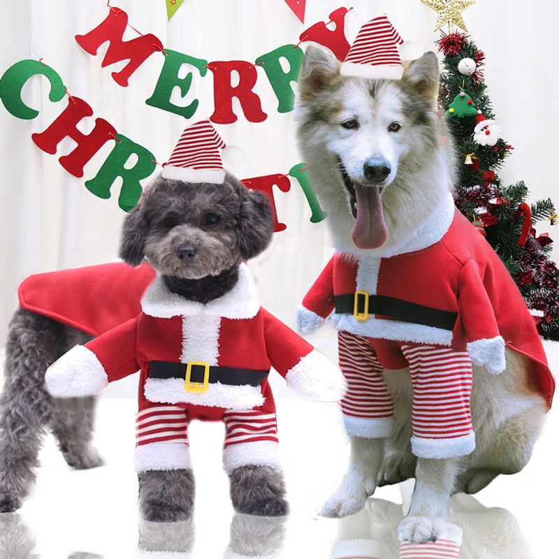 GENERICO - Disfraz para Mascota Navidadeña - Pequeño