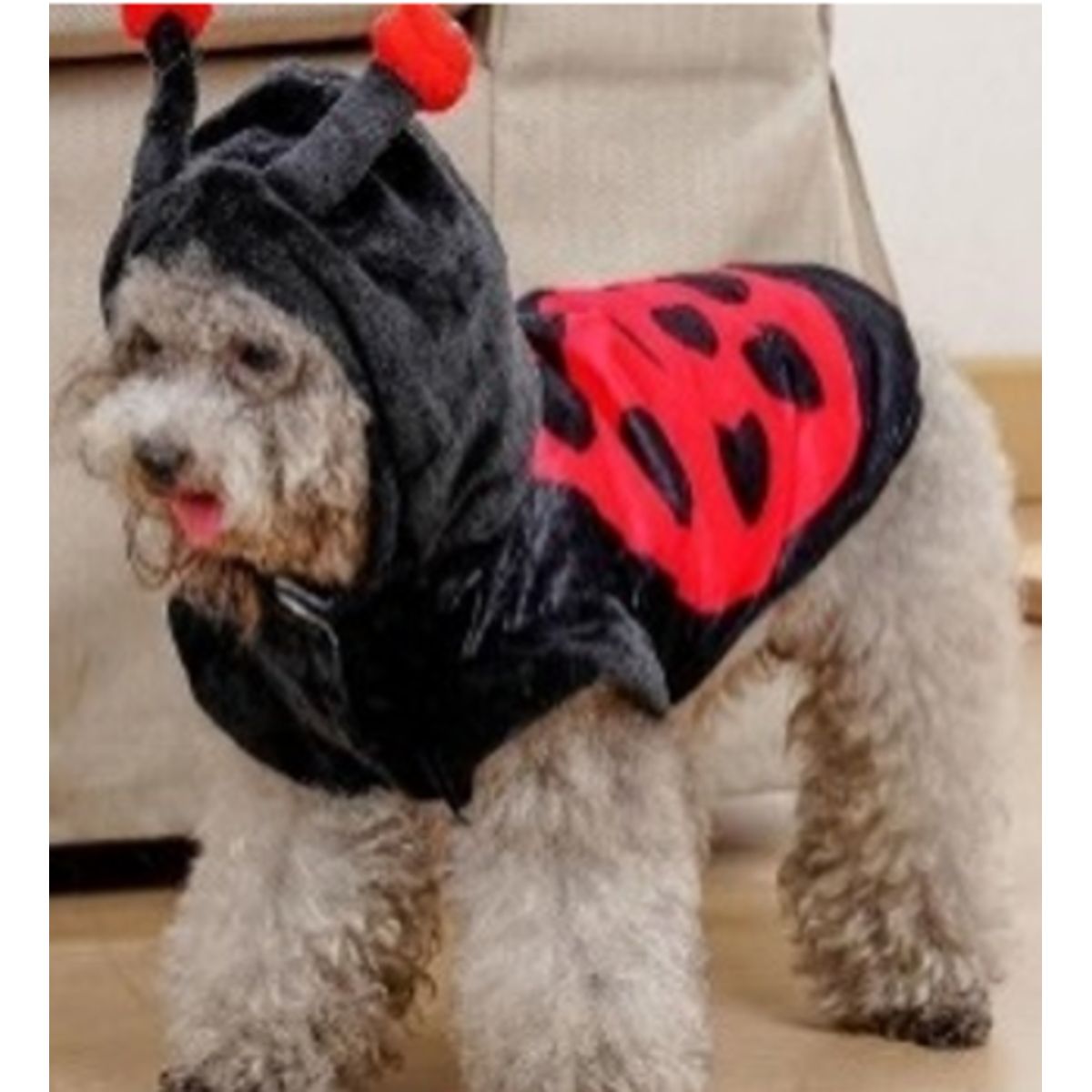 GENERICO - Disfraz para Mascota de Mariquita - Mediano