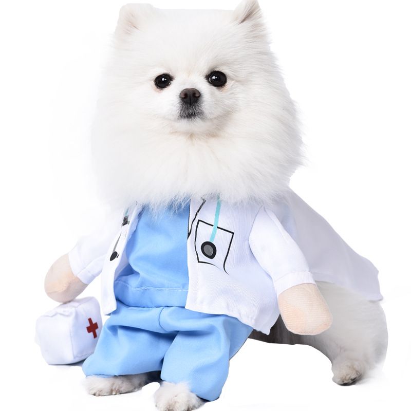 GENERICO - Disfraz para Mascota de Doctor - Mini