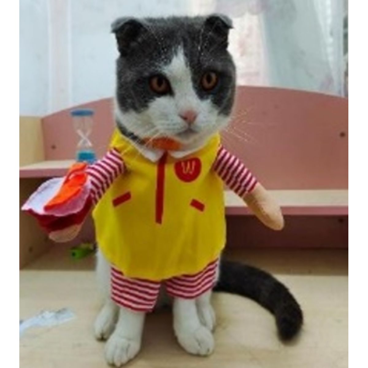 GENERICO - Disfraz para Mascota de Payaso de las Hamburguesas - Mini