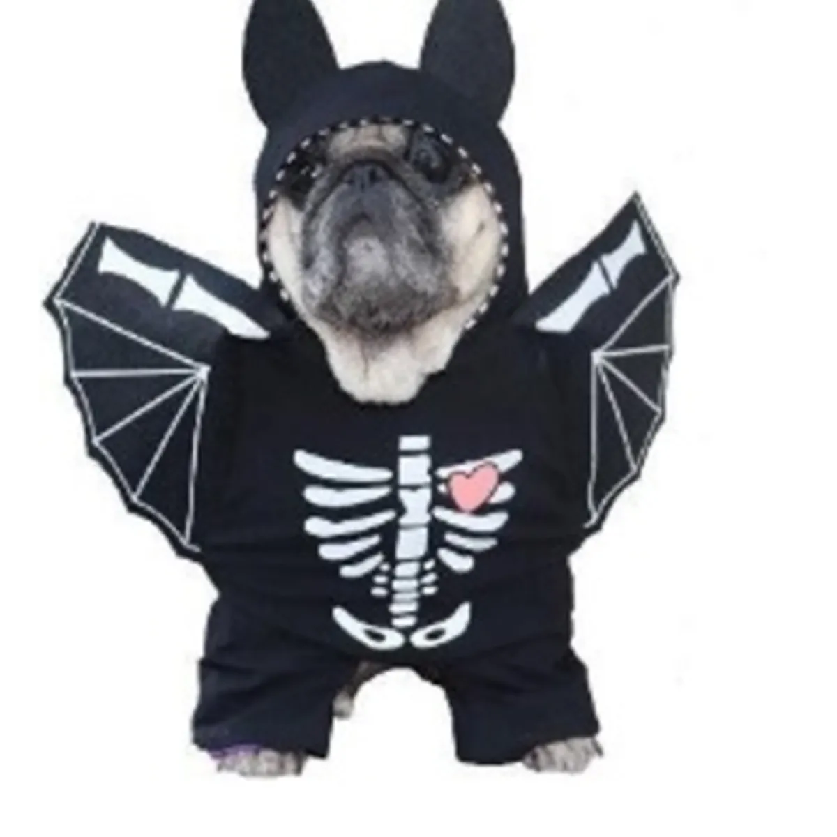 GENERICO - Disfraz para Mascota de Ángel Calaverico - M