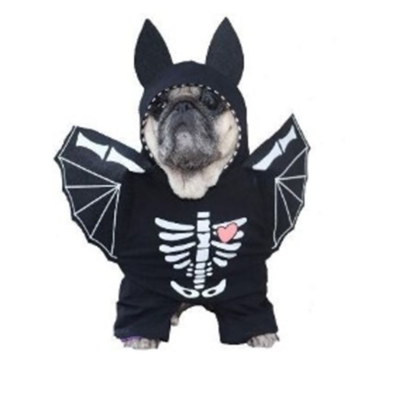 GENERICO - Disfraz para Mascota de Ángel Calaverico - M