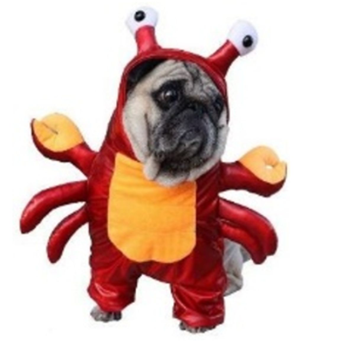 GENERICO - Disfraz para Mascota de Cangrejo - Mediano